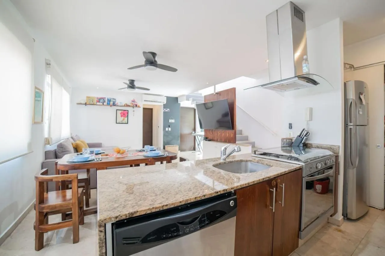 Papaya 20 Super Central Ph 2 Bedroom With Private Rooftop - Jacuzzi Playa del Carmen 0*,  Mexico