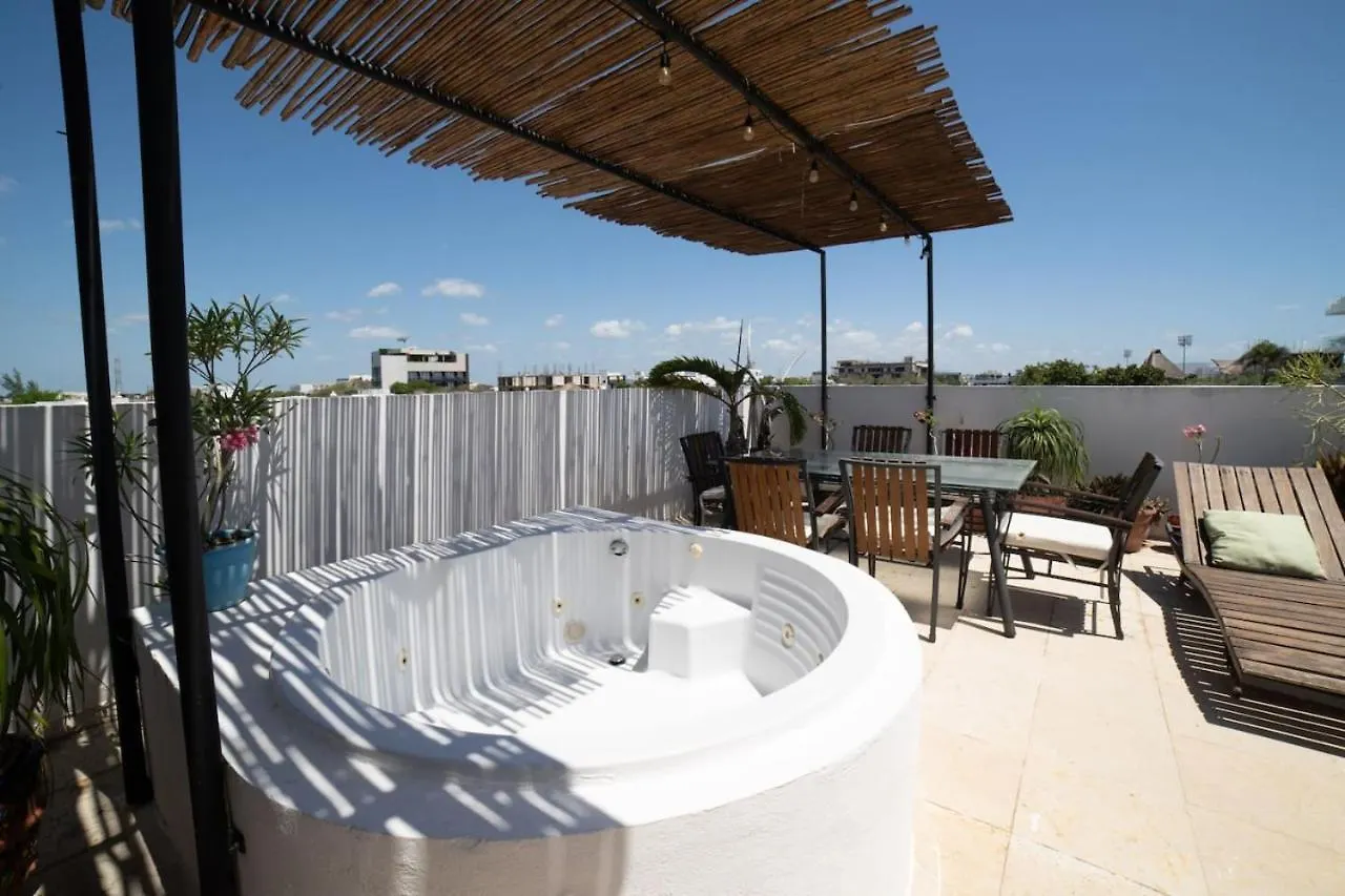 Papaya 20 Super Central Ph 2 Bedroom With Private Rooftop - Jacuzzi Playa del Carmen Apartment