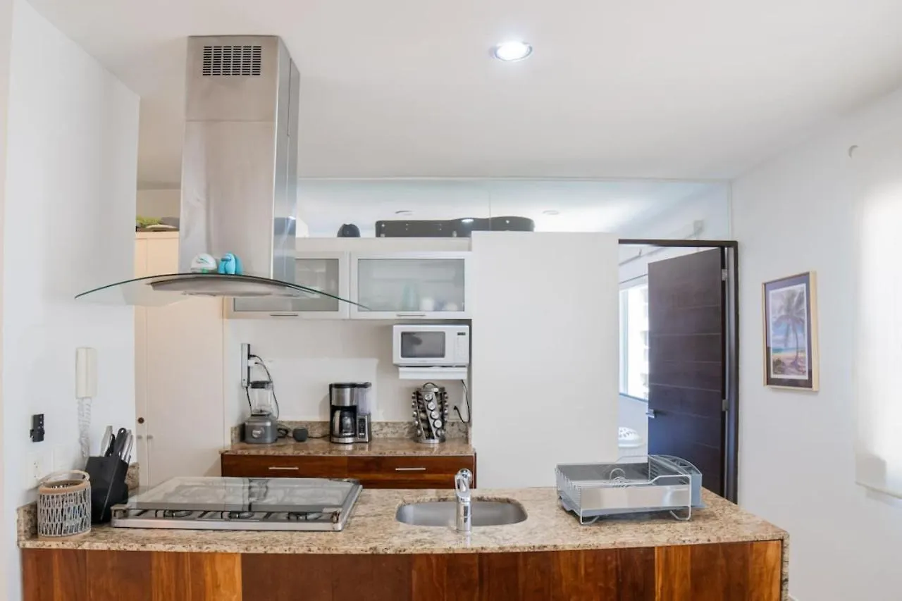 Papaya 20 Super Central Ph 2 Bedroom With Private Rooftop - Jacuzzi Playa del Carmen Apartment