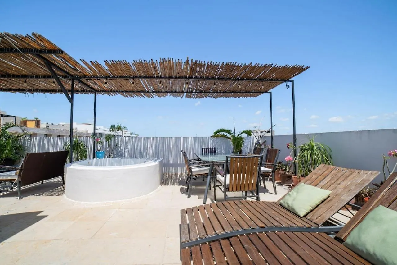 Apartment Papaya 20 Super Central Ph 2 Bedroom With Private Rooftop - Jacuzzi Playa del Carmen
