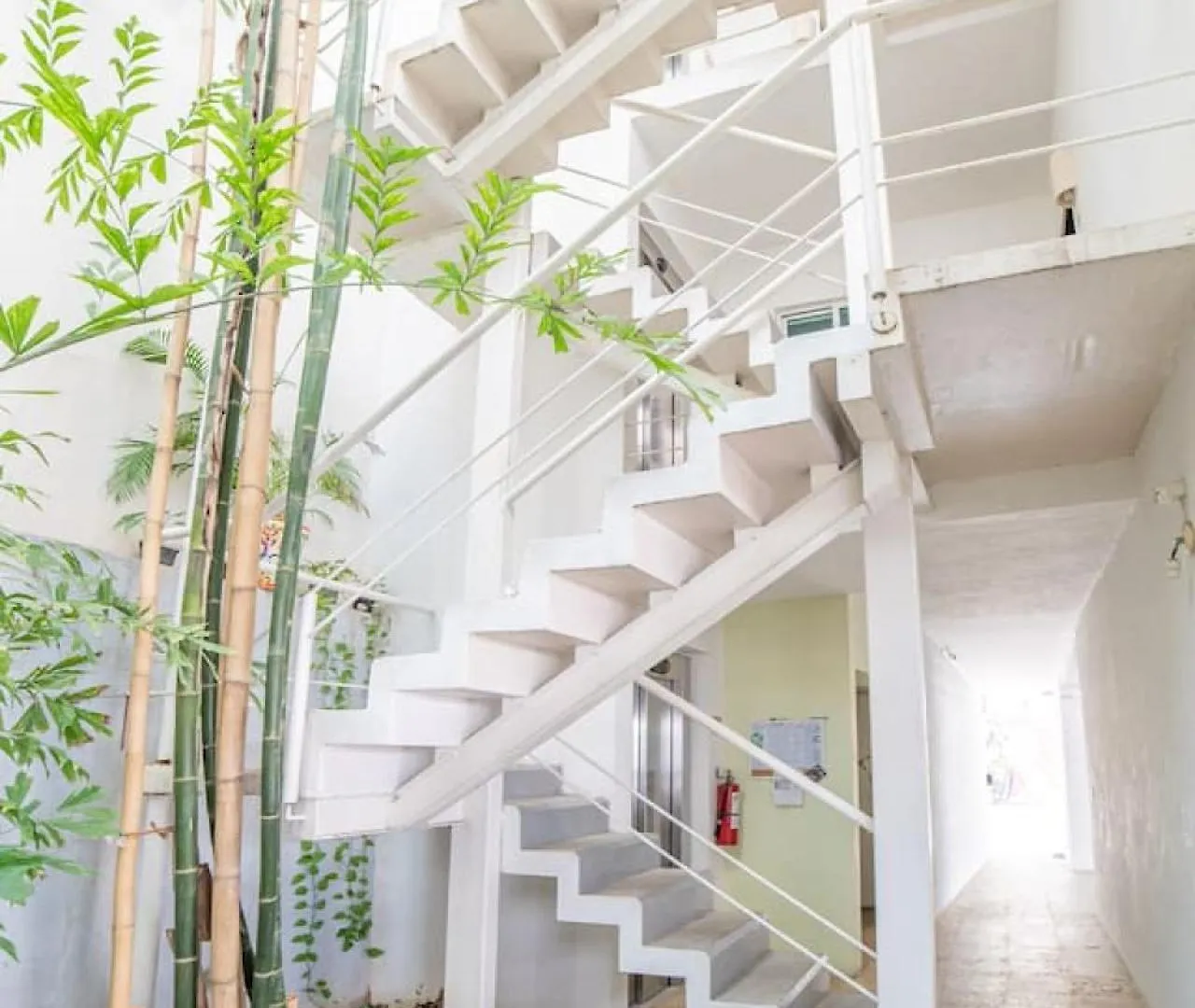 Papaya 20 Super Central Ph 2 Bedroom With Private Rooftop - Jacuzzi Playa del Carmen 0*,