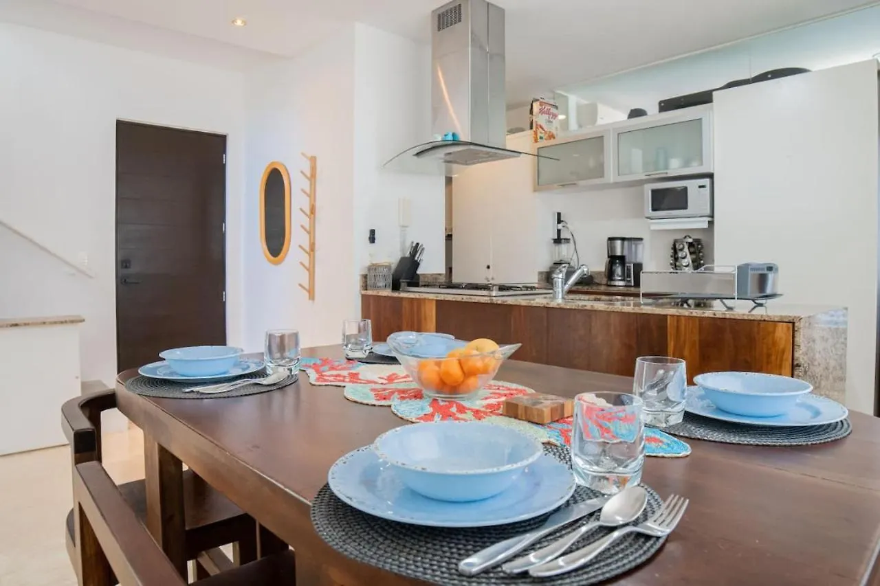 Papaya 20 Super Central Ph 2 Bedroom With Private Rooftop - Jacuzzi Playa del Carmen 0*,