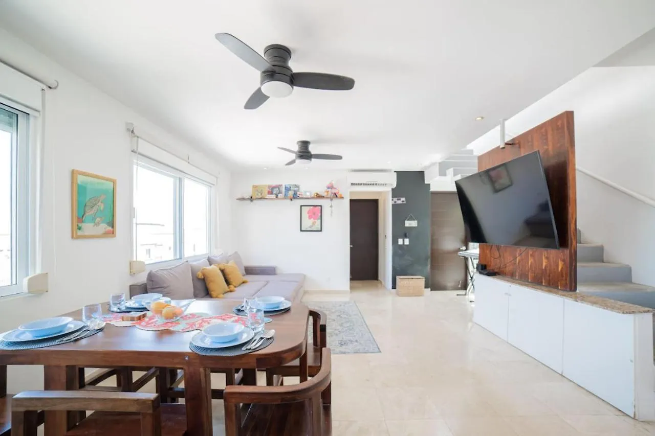 Apartment Papaya 20 Super Central Ph 2 Bedroom With Private Rooftop - Jacuzzi Playa del Carmen